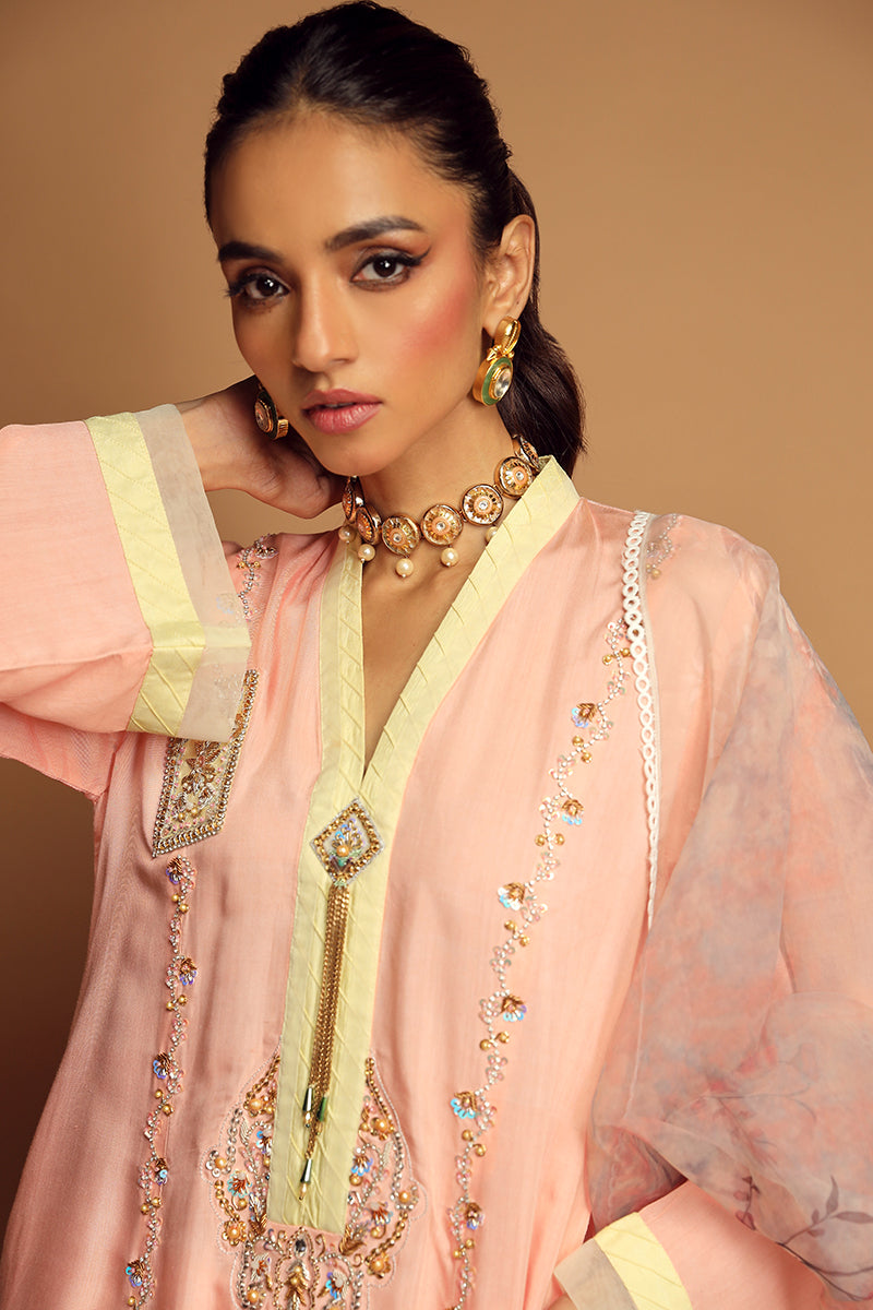 Wardha Saleem | Luxury Pret Traditional Wear | ALLURE (2PC) - Ladies Clothes 