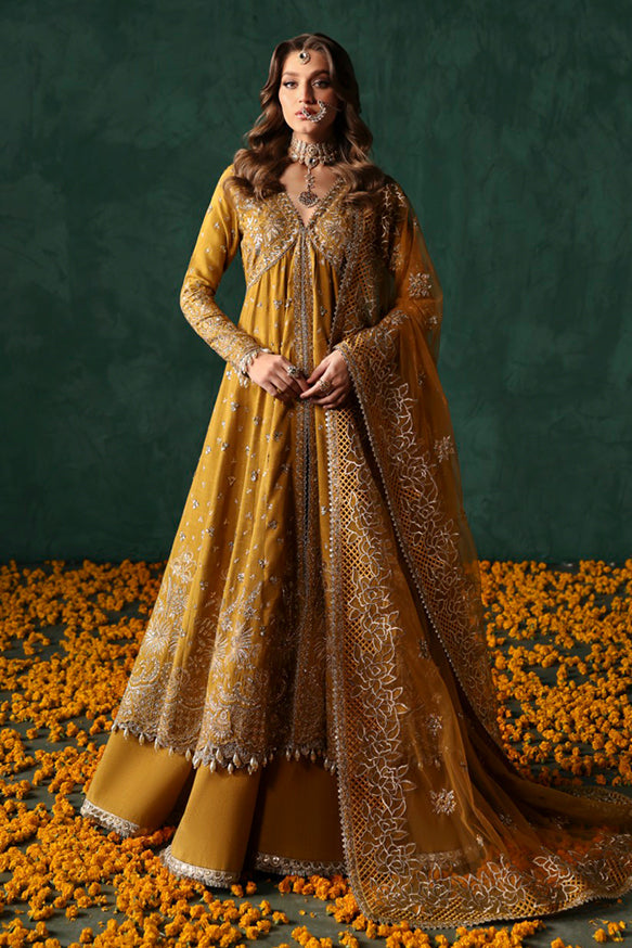 Afrozeh | Divani Silk Edit 24 | Jahanbano - Ladies Clothes 