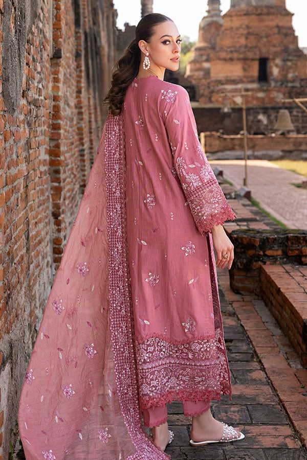 Saffron | Solace Winter Edit | Froza - Ladies Clothes 