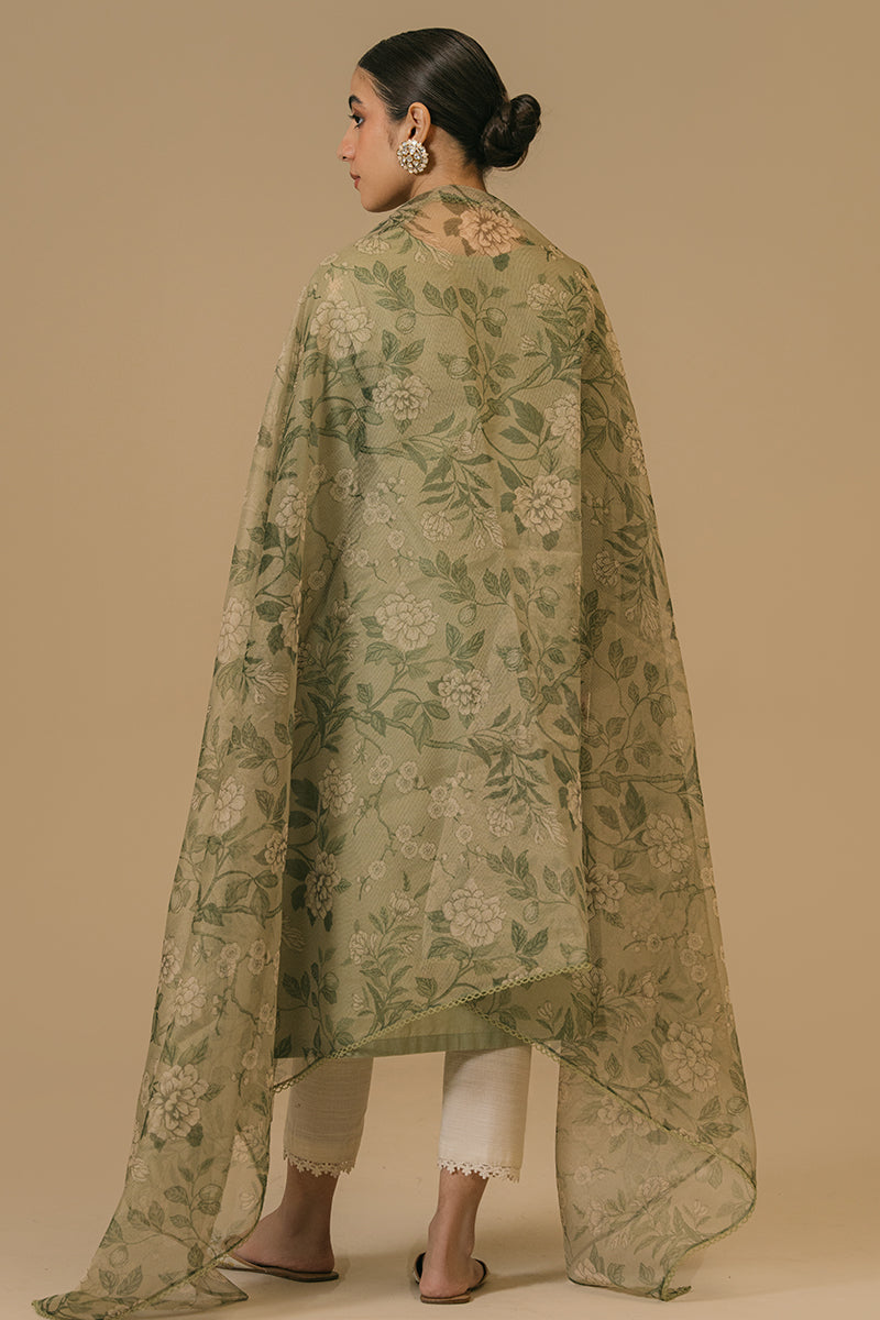 Cross Stitch | Eid Collection | OLIVE VISTA - Maria Faisal