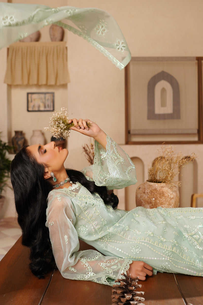 Maryams | Noir Luxe | Jade-NOR-0001 - Formal Dress - available at Maria Faisal in UK and USA.