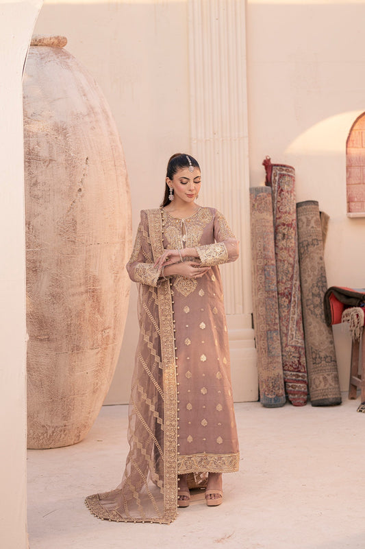 House of Nawab | Miorah Formals | IRAMMA - B - Designer Dress with Intricate embroidery and embellishments. Shop elegent wedding dress at Maria Faisal.