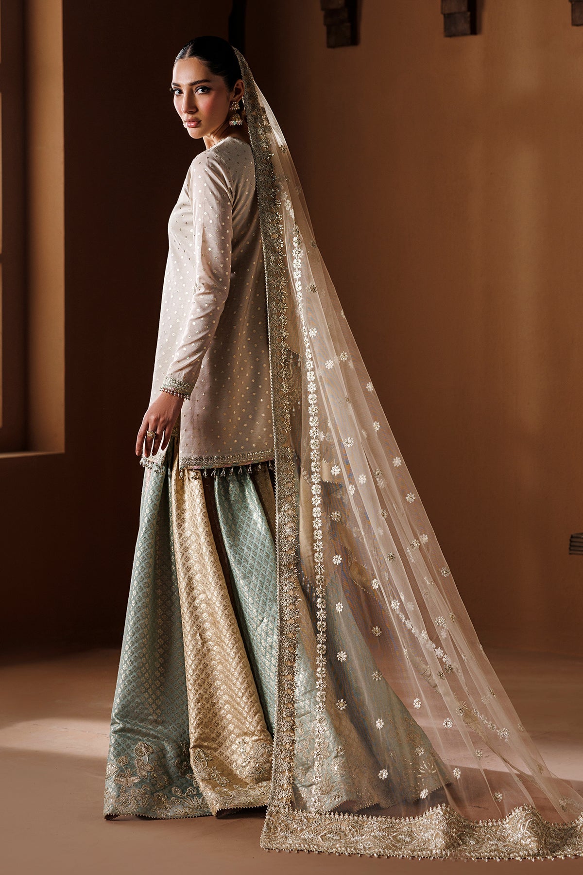 Embroidered Chiffon Baroque Gharara Multi | SF-4435