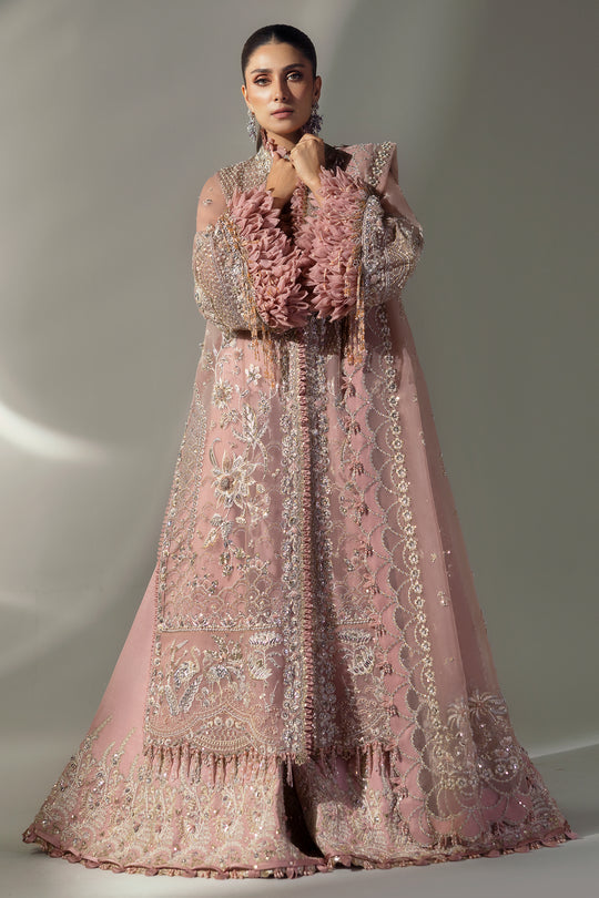 Elan | Wedding Festive 24 | CELESTIAL PETALS (EC24-07) - Ladies Clothes 