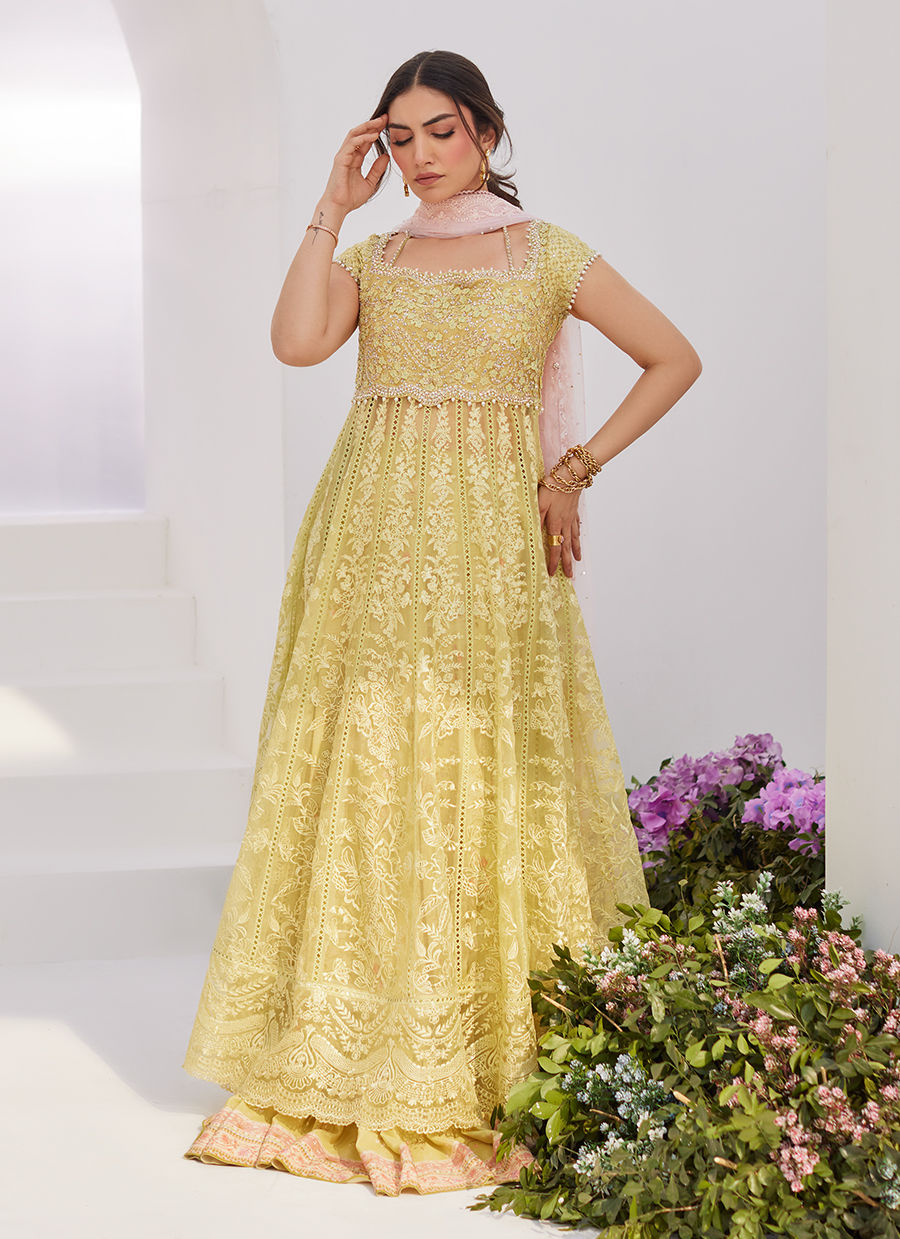 Farah Talib Aziz | Zaza Luxe Pret 24 | REINE KIWI EMBROIDERED EMBELLISHED KALIDAAR - Ladies Clothes - Maria Faisal