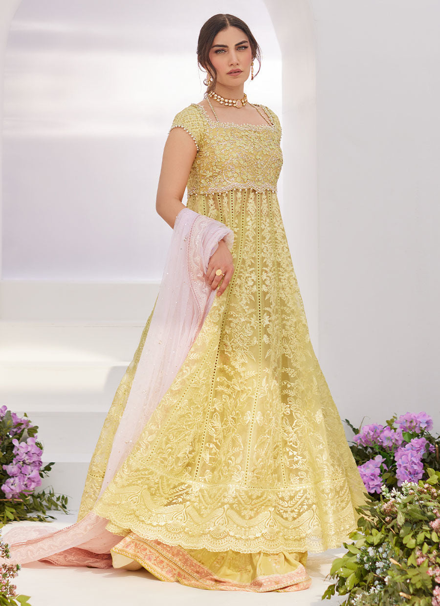 Farah Talib Aziz | Zaza Luxe Pret 24 | REINE KIWI EMBROIDERED EMBELLISHED KALIDAAR - Ladies Clothes - Maria Faisal