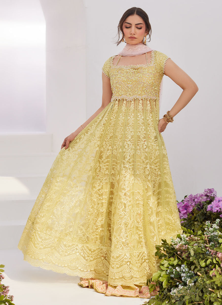 Farah Talib Aziz | Zaza Luxe Pret 24 | REINE KIWI EMBROIDERED EMBELLISHED KALIDAAR - Ladies Clothes - Maria Faisal