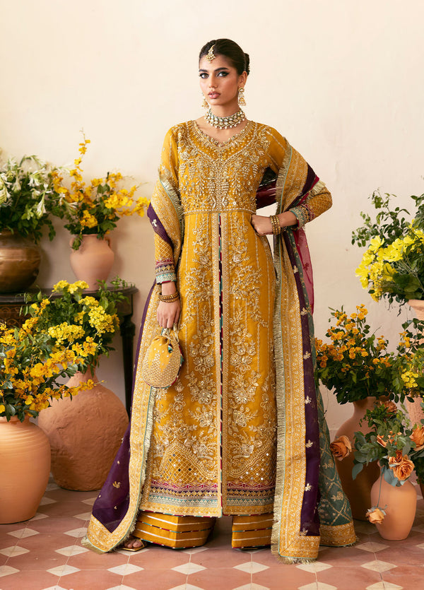 Gulaal |  Chaandni Wedding Formals |  Nayaara - Ladies Clothes 