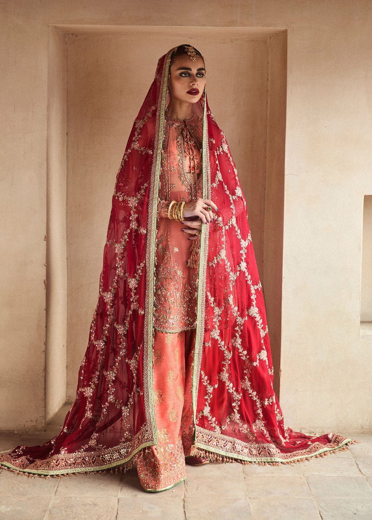 Hussain Rehar | Festive Formals 24 |  Romawi - Designer Dress with Intricate embroidery and embellishments. Shop elegent wedding dress at Maria Faisal.