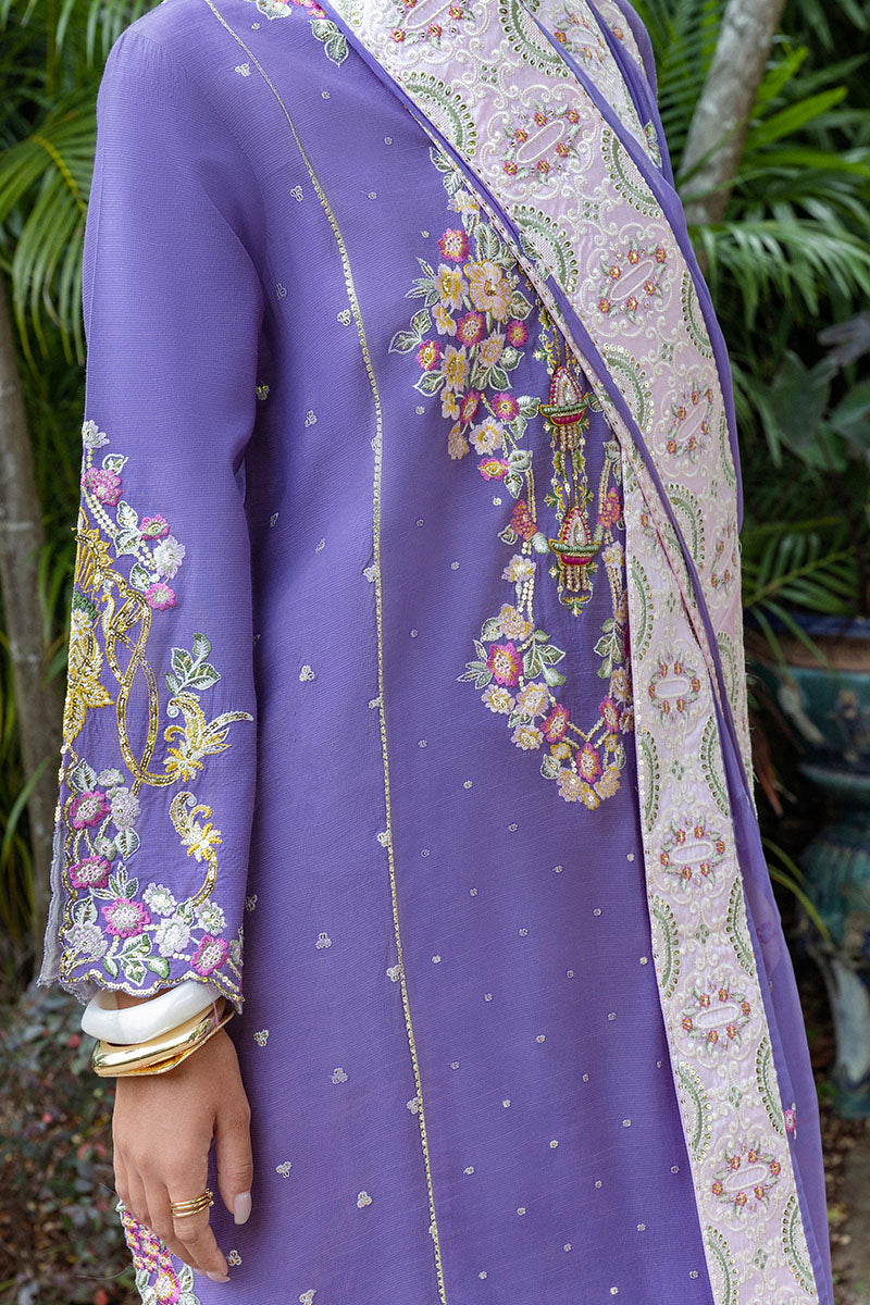 Mushq | Nuvera Raw Silk | Elaris - Ladies Clothes - Maria Faisal