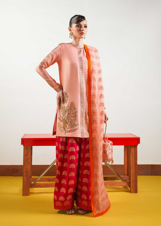Hussain Rehar | Basic Not Basic |  Blush - Ladies Clothes 