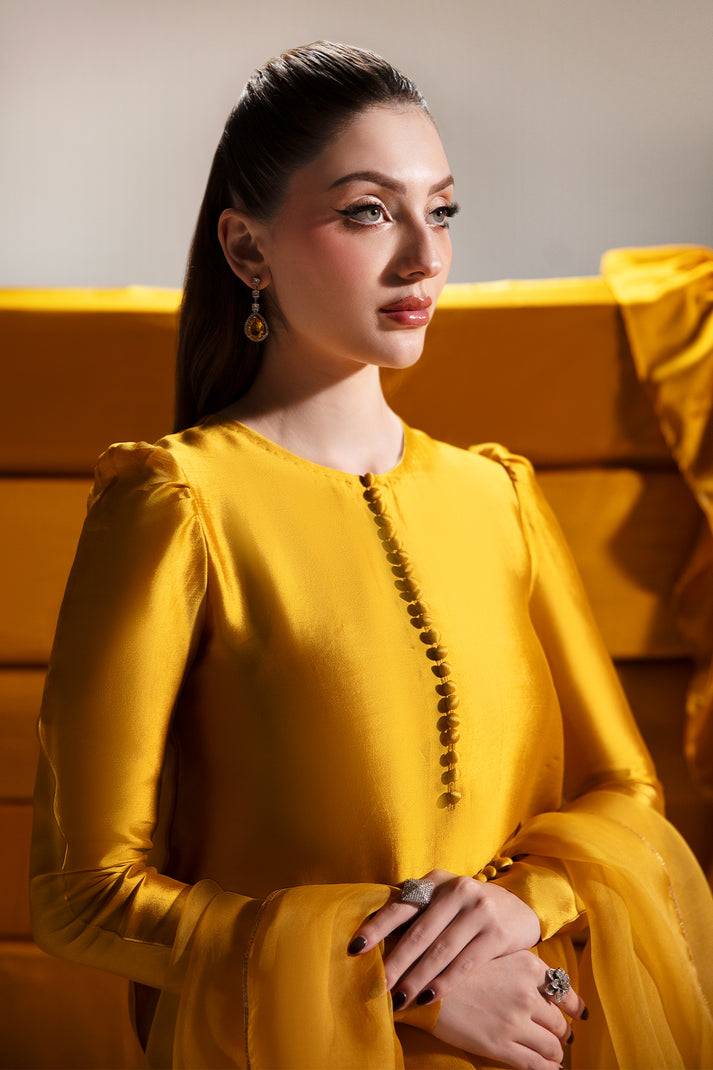 Raja Salahuddin | House of Mina |Daisy by Maria Faisal - Registered Vendor of : Raja Salahuddin - type : Ladies Clothes - 100% original wedding dresses