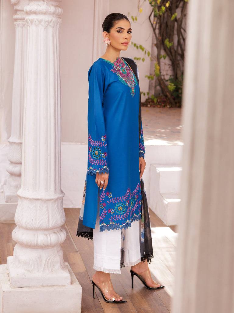 Rajbari | Nissa Chikankari Edition 25 | D# - 04 by Maria Faisal - Registered Vendor of : Rajbari - type : Ladies Clothes - 100% original wedding dresses
