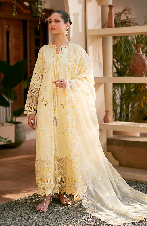 Emaan Adeel | Navaeh Luxury Pret | ADARA - Designer Dress with Intricate embroidery and embellishments. Shop elegent wedding dress at Maria Faisal.