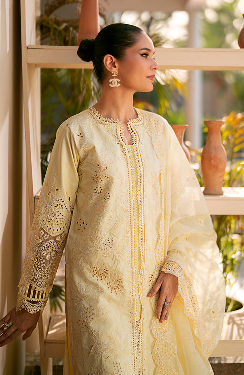 Emaan Adeel | Navaeh Luxury Pret | ADARA - Designer Dress with Intricate embroidery and embellishments. Shop elegent wedding dress at Maria Faisal.