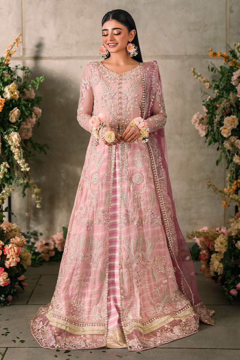 Mushq | Mastani Evening Luxury Chiffon | Maisha - Wedding Dress - Maria Faisal