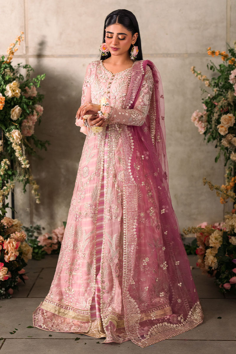 Mushq | Mastani Evening Luxury Chiffon | Maisha - Wedding Dress - Maria Faisal