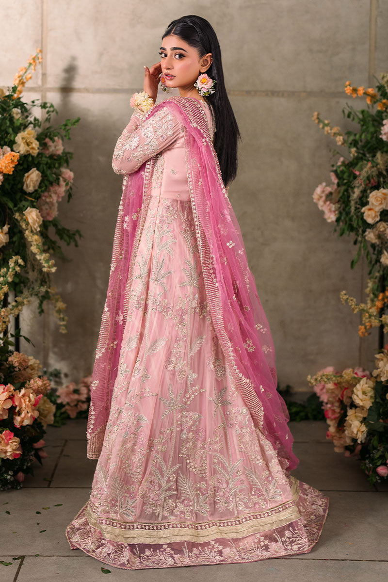 Mushq | Mastani Evening Luxury Chiffon | Maisha - Wedding Dress - Maria Faisal