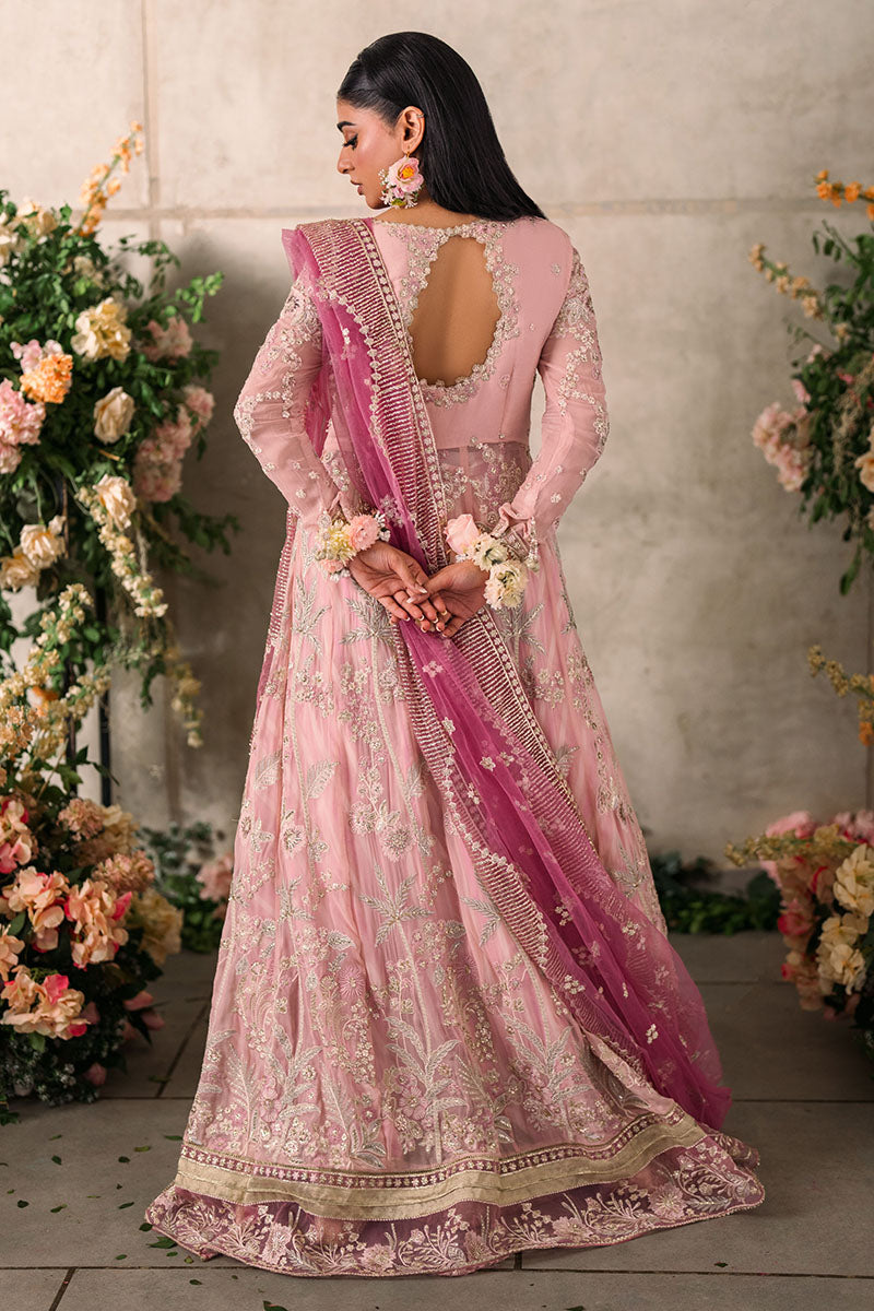 Mushq | Mastani Evening Luxury Chiffon | Maisha - Wedding Dress - Maria Faisal