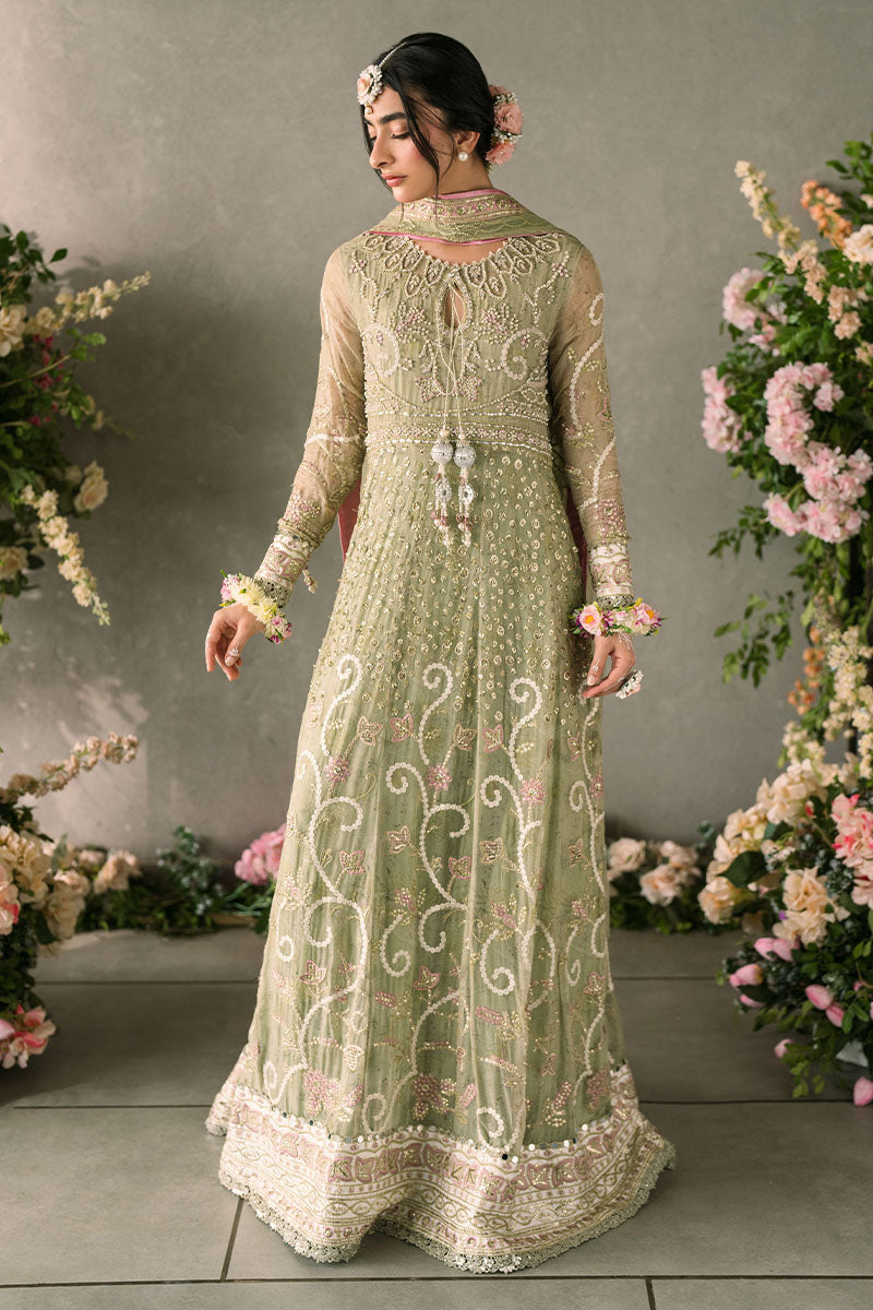 Mushq | Mastani Evening Luxury Chiffon | Namar - Wedding Dress - Maria Faisal