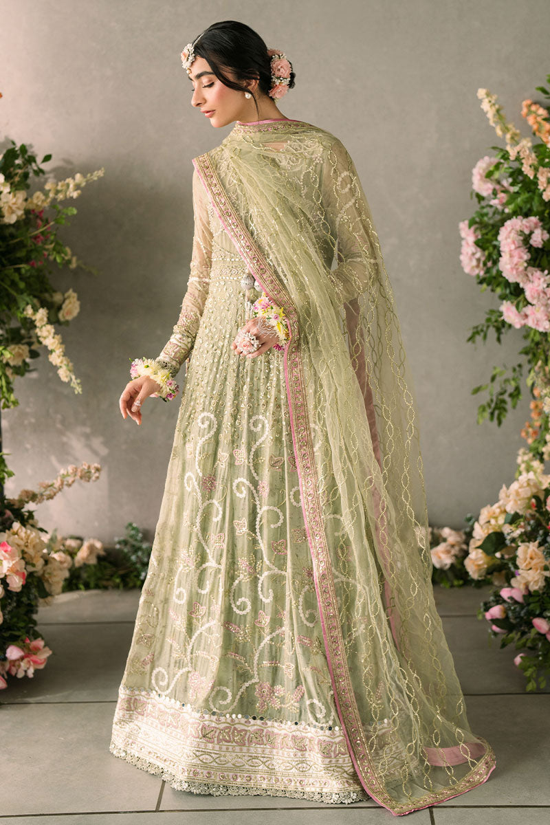 Mushq | Mastani Evening Luxury Chiffon | Namar - Wedding Dress - Maria Faisal