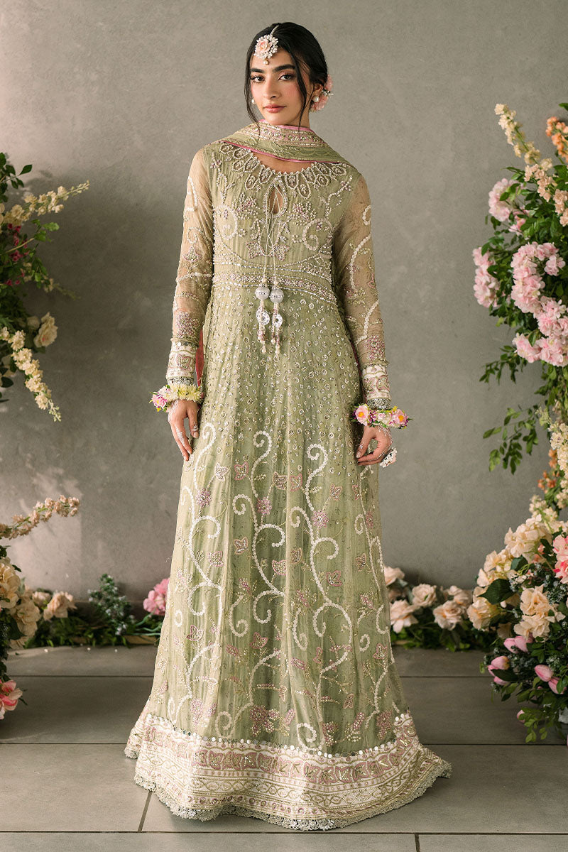 Mushq | Mastani Evening Luxury Chiffon | Namar - Wedding Dress - Maria Faisal