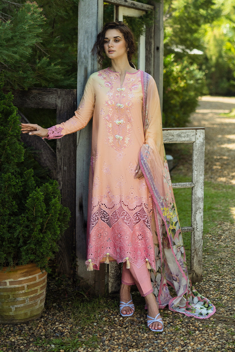 Mushq | Solace Ombre Chikankari | Risate by Maria Faisal - Registered Vendor of : Mushq - type : Ladies Clothes - 100% original wedding dresses