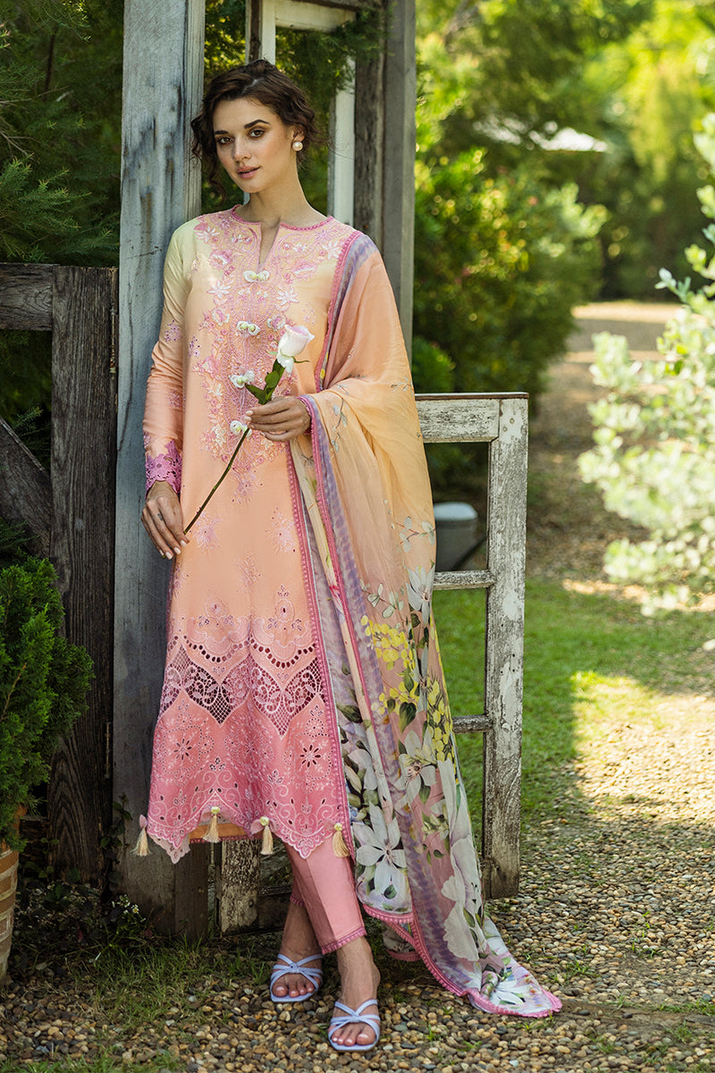 Mushq | Solace Ombre Chikankari | Risate by Maria Faisal - Registered Vendor of : Mushq - type : Ladies Clothes - 100% original wedding dresses