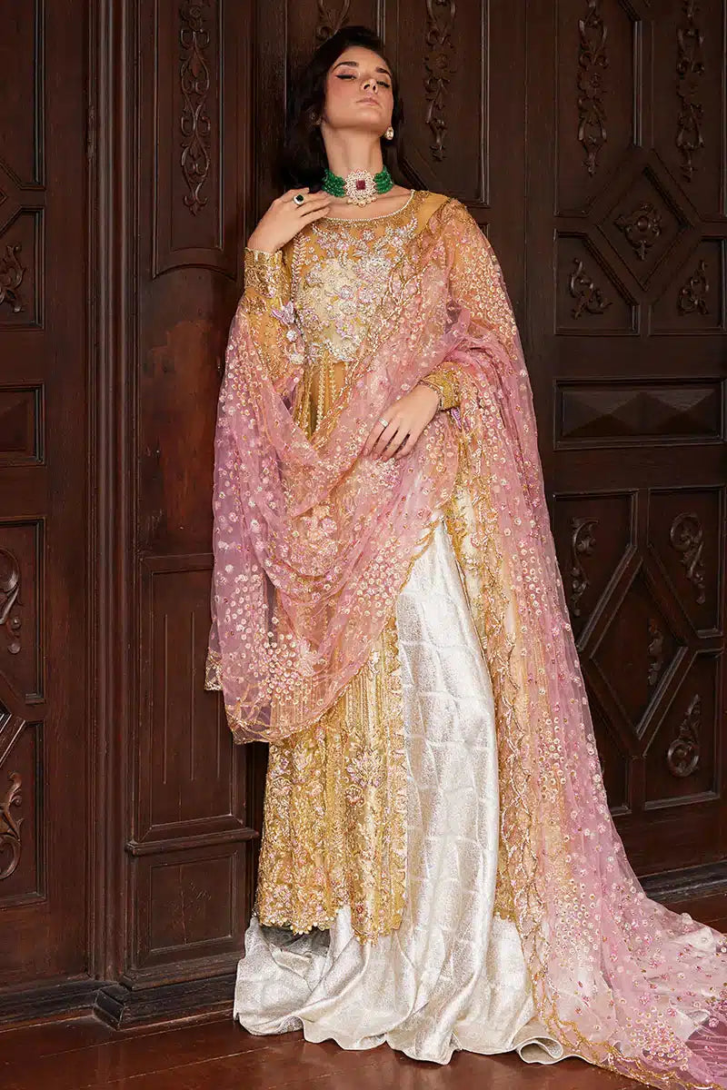 Mushq | Stardust Wedding Festive 23 | Sprinkle