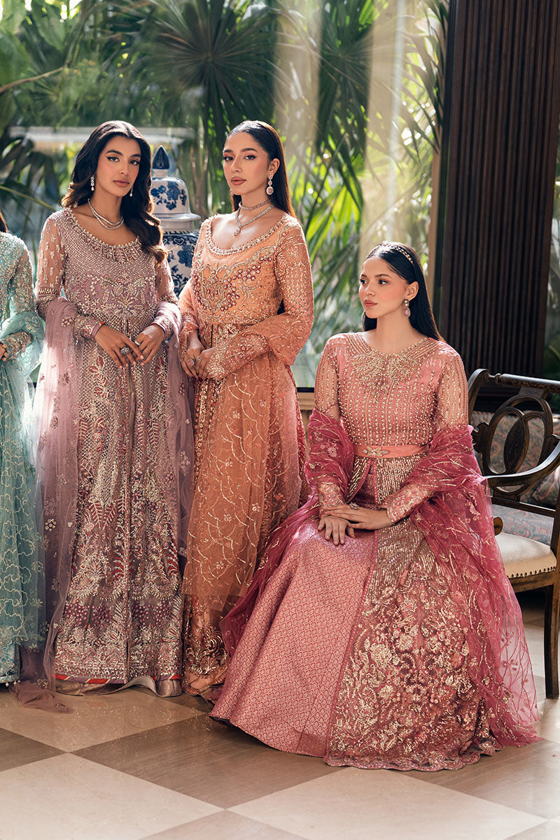 Mushq | Mann Mein Tu Wedding | WADAY - Ladies Clothes 