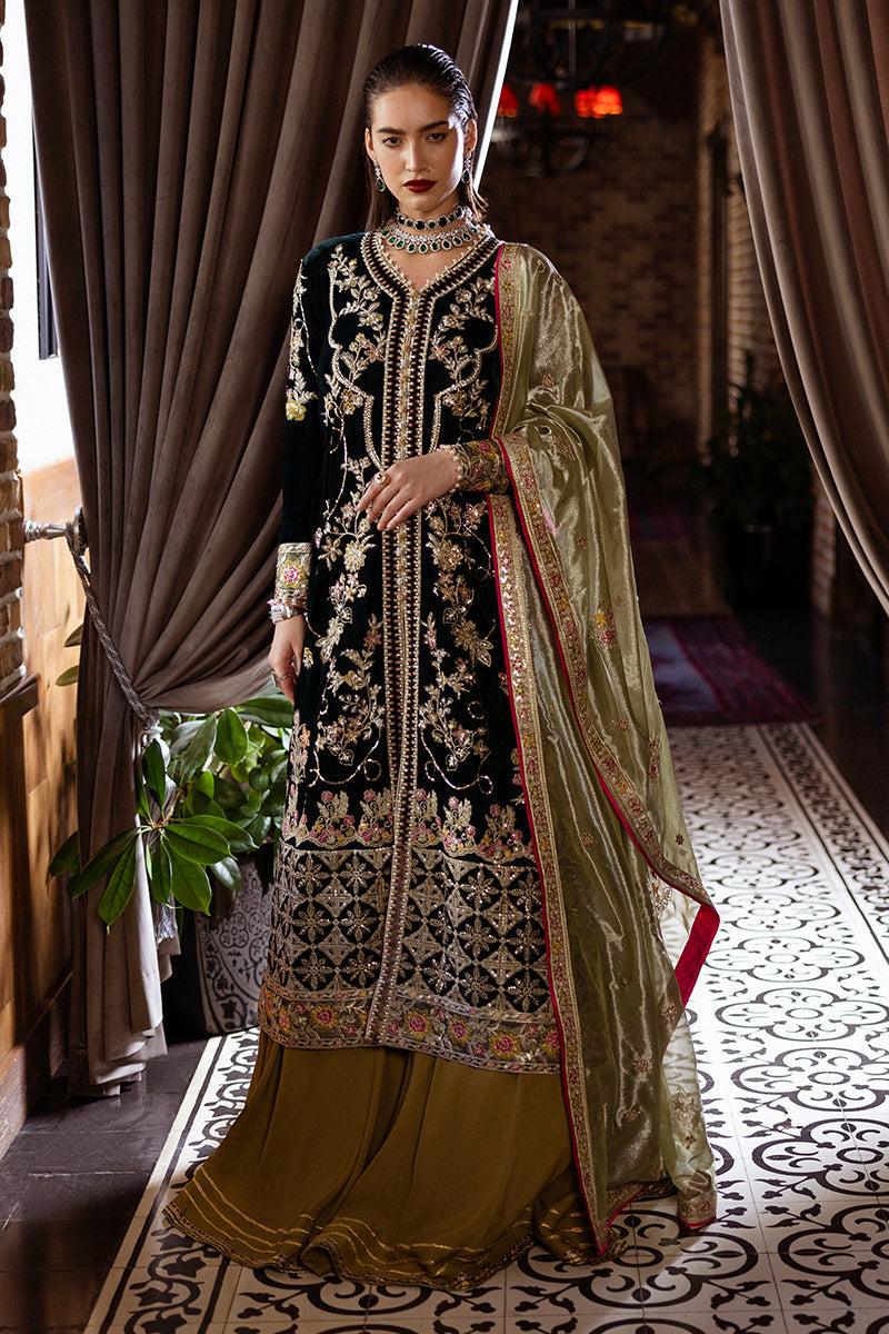 Mushq | Deja Vu Velvet | Nostalgic Shadows - Designer Dress with Intricate embroidery and embellishments. Shop elegent wedding dress at Maria Faisal.