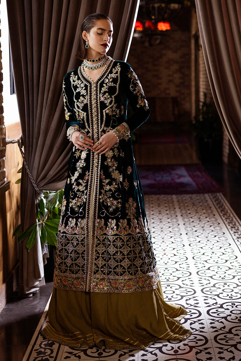 Mushq | Deja Vu Velvet | Nostalgic Shadows - Designer Dress with Intricate embroidery and embellishments. Shop elegent wedding dress at Maria Faisal.