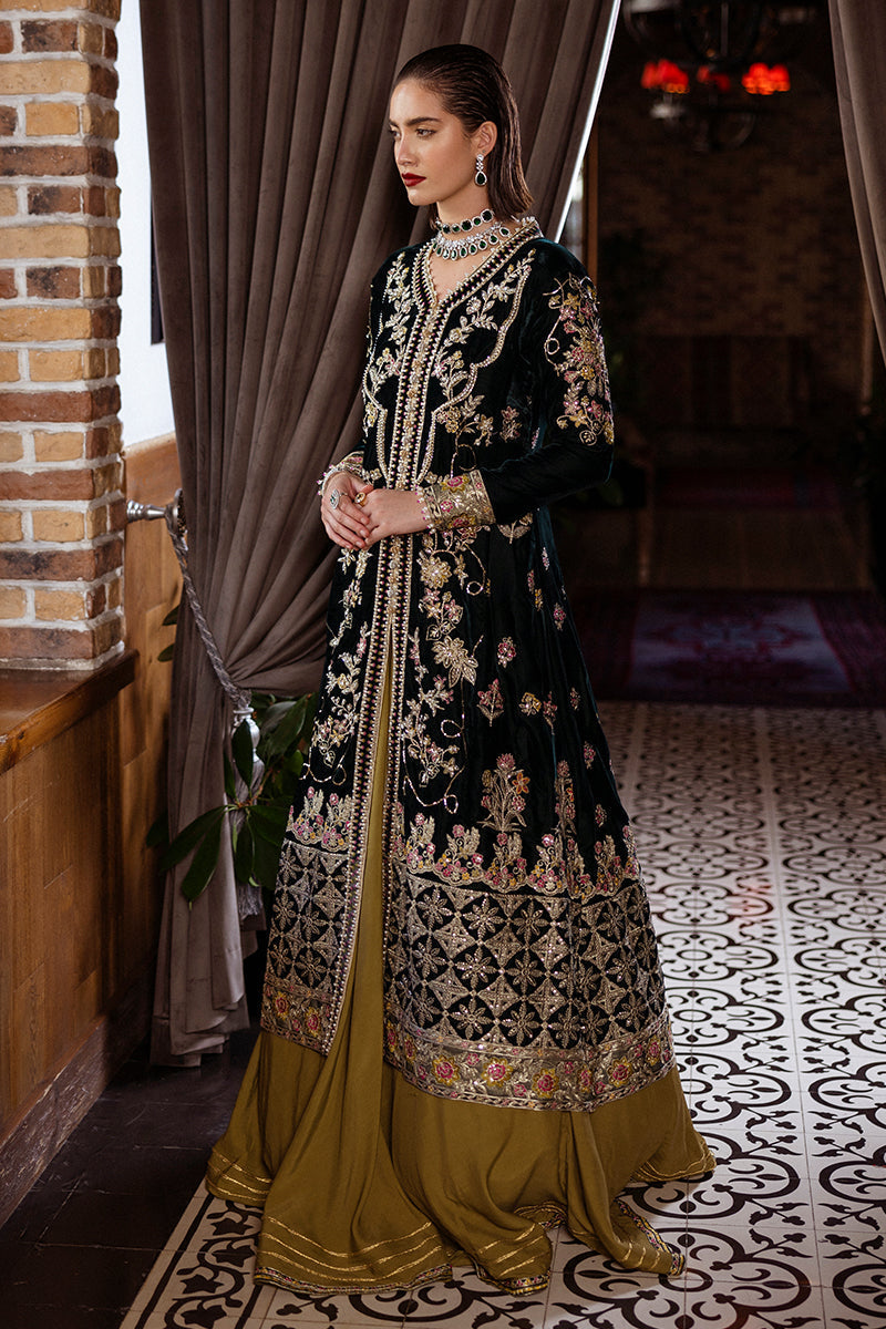 Mushq | Deja Vu Velvet | Nostalgic Shadows - Designer Dress with Intricate embroidery and embellishments. Shop elegent wedding dress at Maria Faisal.