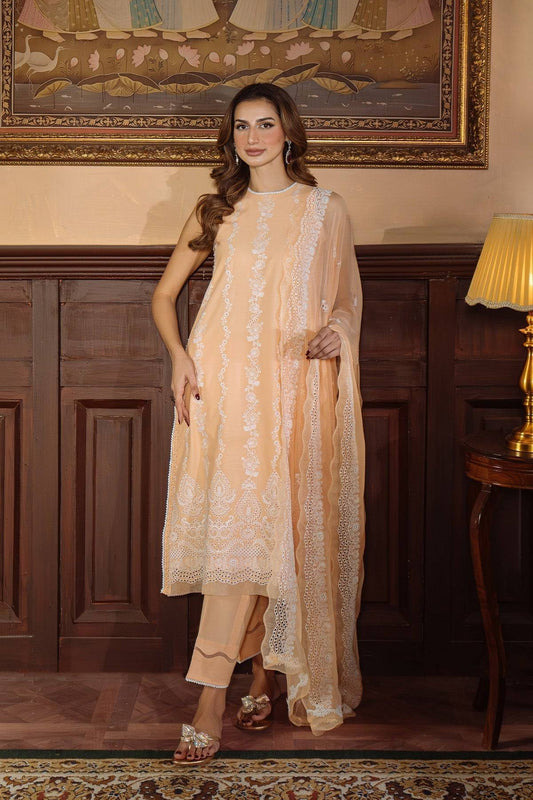 Sahar | Festive Edit Ready to Wear | Apricot Glow - RTW by Maria Faisal - Registered Vendor of : Sahar - type : Ladies Clothes - 100% original wedding dresses