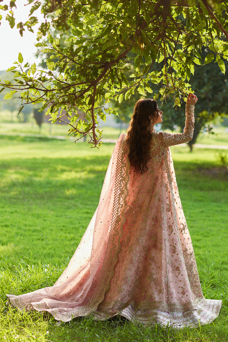 Qalamkar | Shadmani Luxury Formals |  Saira SH-08 - Ladies Clothes - Maria Faisal