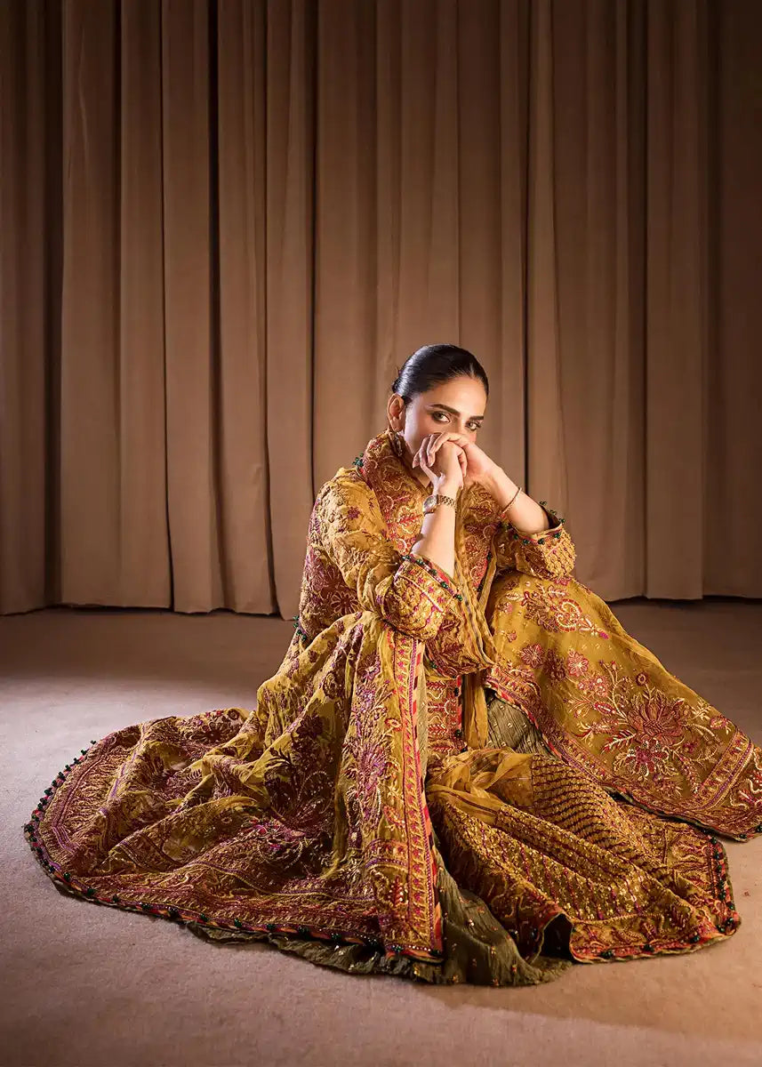 HSY | Rehana Collection 2023 | Ronak