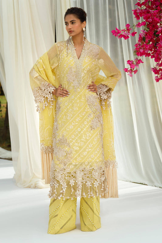 Sana Safinaz | Luxury Collection 24 | L241-010A-3CV - Ladies Clothes - Maria Faisal