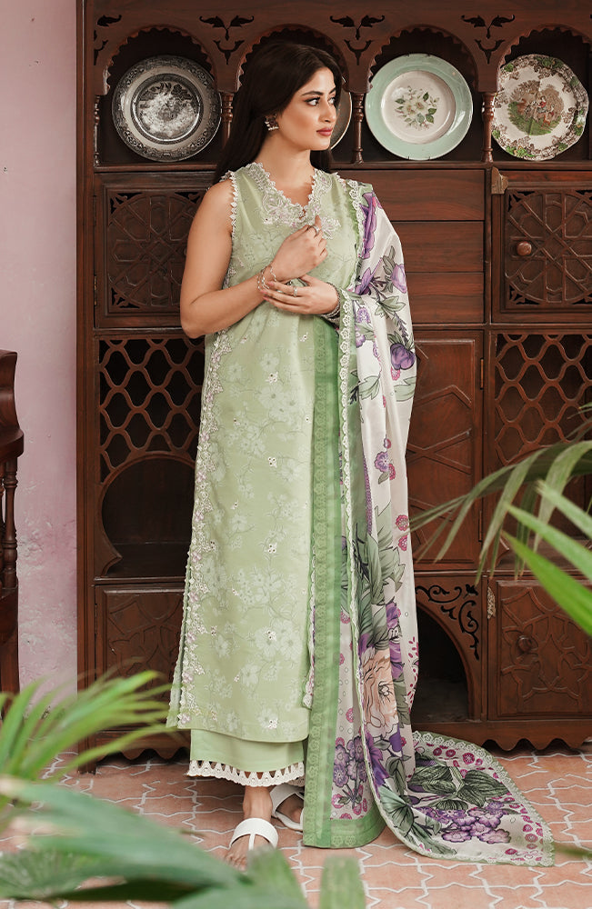 Seran | Afsanah Lawn 24 | Maya - Ladies Clothes - Maria Faisal