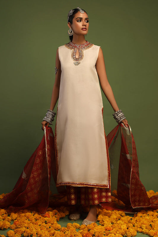 Wardha Saleem | Luxury Pret Traditional Wear | NAQSH - SHIRT WITH IZAAR (2 PC) - Ladies Clothes 