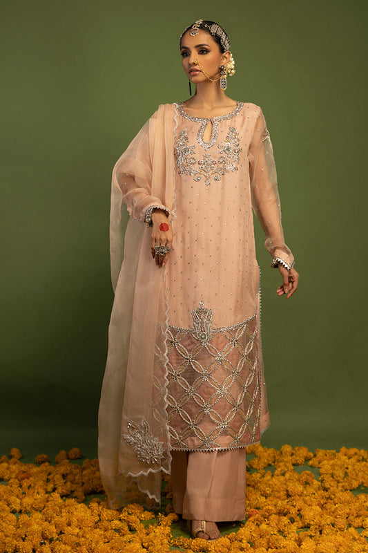 Wardha Saleem | Luxury Pret Traditional Wear | MISMAAR - HEAVY FORMAL (2 PC) - Ladies Clothes 