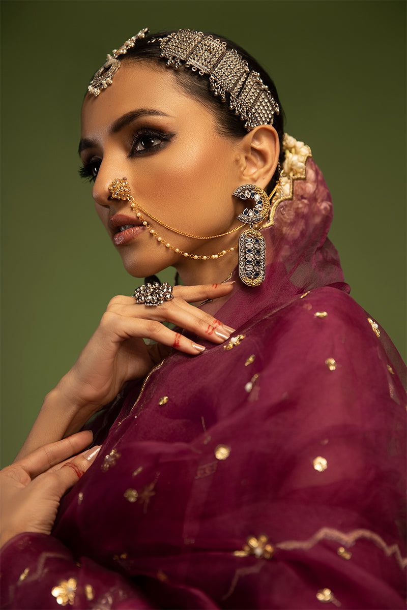 Wardha Saleem | Luxury Pret Traditional Wear | SARAAB - PLUM HEAVY (2 PC) - Ladies Clothes 