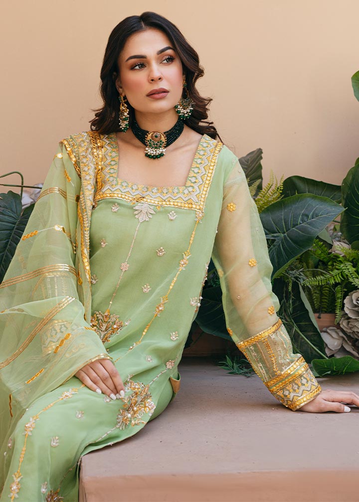 Daud Abbas | Formals Collection | Sunahri - Waniyas