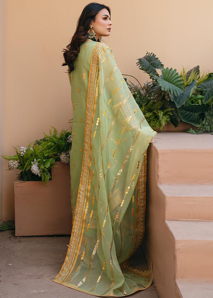 Daud Abbas | Formals Collection | Sunahri - Waniyas