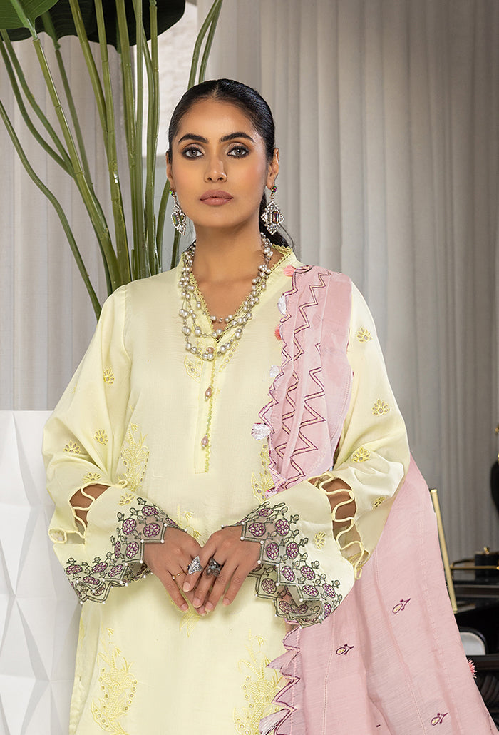 Humdum | Charlotte Chikankari Lawn | D06 - Ladies Clothes 