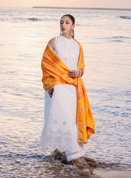 Zainab chottani | Luxury Chikankari 24 | CHUNARI - 3B - Ladies Clothes - Maria Faisal