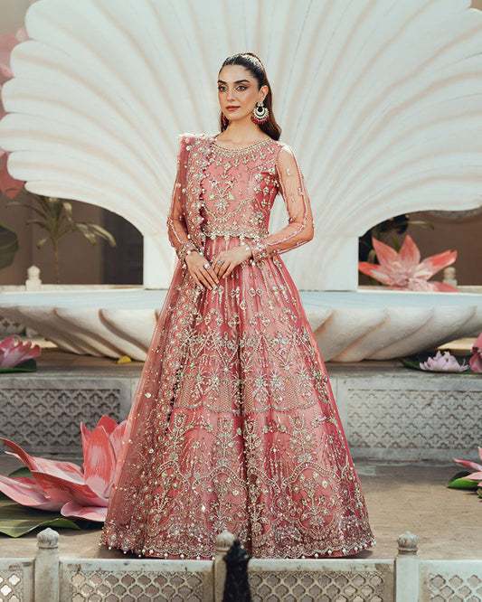 Ain | Naulakha Wedding Festive 24 | AR-142 ZORA - Ladies Clothes 