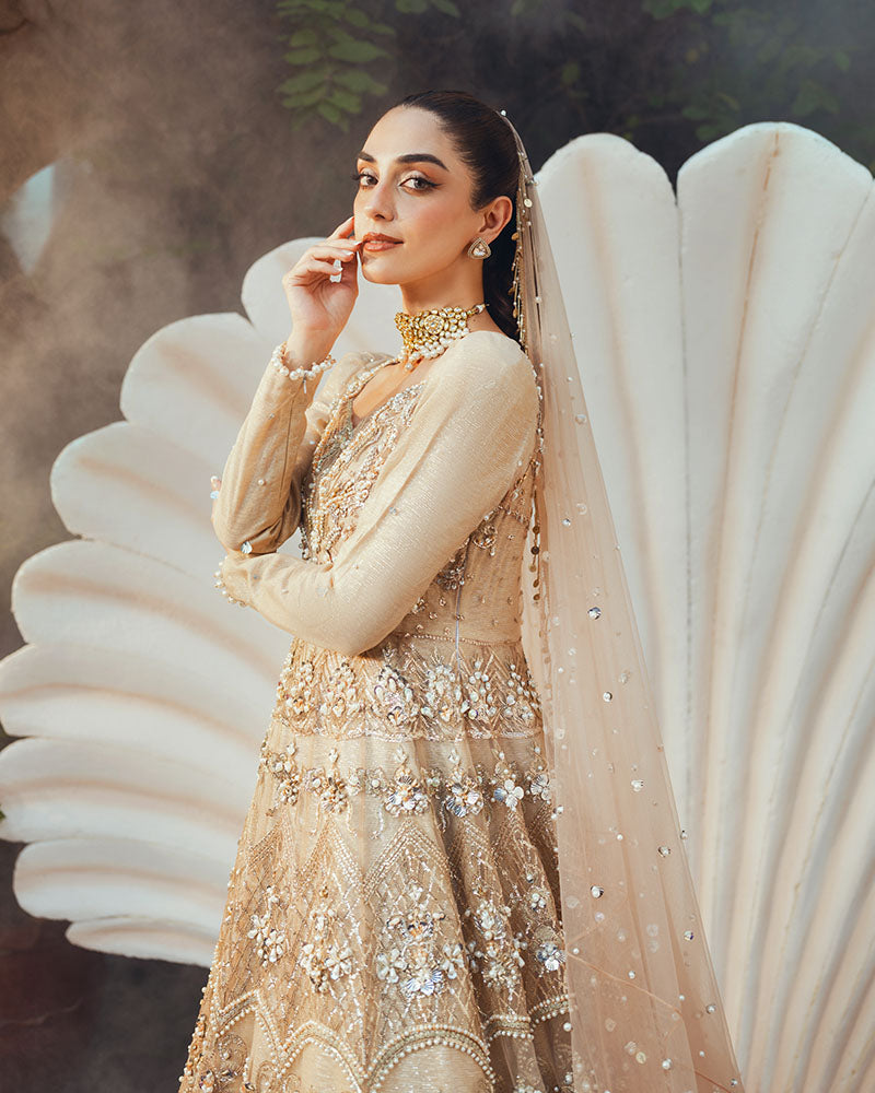 Ain | Naulakha Wedding Festive 24 |  AR-144 SHELL - Ladies Clothes 