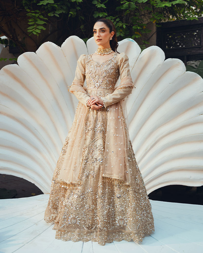 Ain | Naulakha Wedding Festive 24 |  AR-144 SHELL - Ladies Clothes 