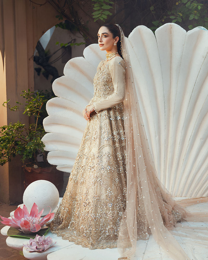 Ain | Naulakha Wedding Festive 24 |  AR-144 SHELL - Ladies Clothes 