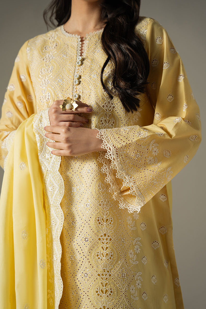 Cross Stitch | Chikankari Lawn 25 | ORCHID GEM - Ladies Clothes 